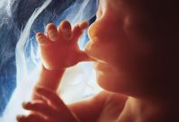 Developpement Foetal 5eme Mois De Grossesse Docteur Guilherme Romain Developpement Foetal 5eme Mois De Grossesse Docteur Guilherme Romain